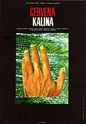 Červená kalina 1973