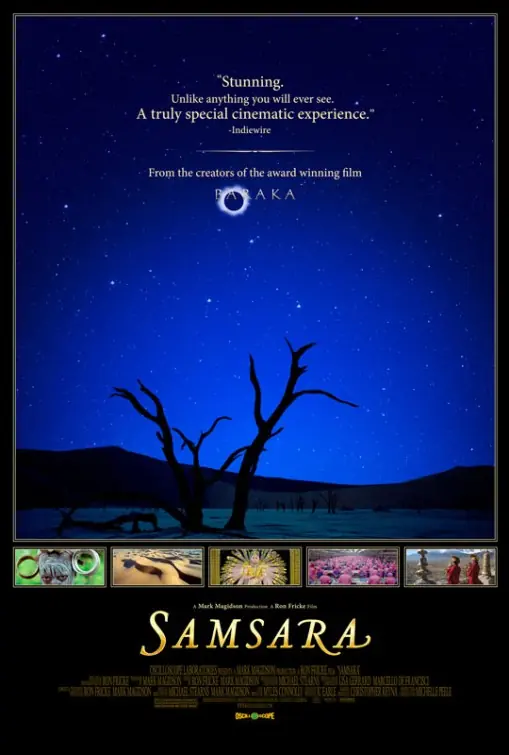 Samsara 2011