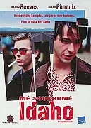 Mé soukromé Idaho 1991