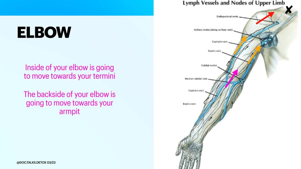 Day 3 Upper body drainage