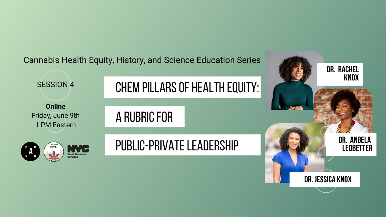 CHEM Pillars of Health Equity A Rubric for PublicPrivate Leadership