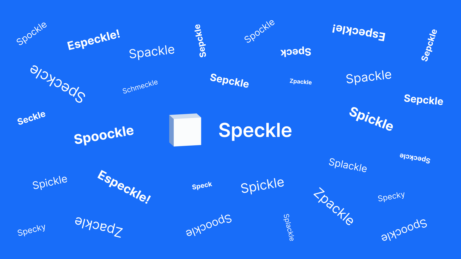 Speckle Intelligence Stand Up