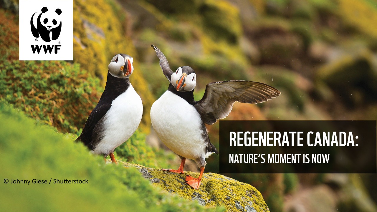 WWFCanada Supporter Appreciation Event 2024 TEST ONLY