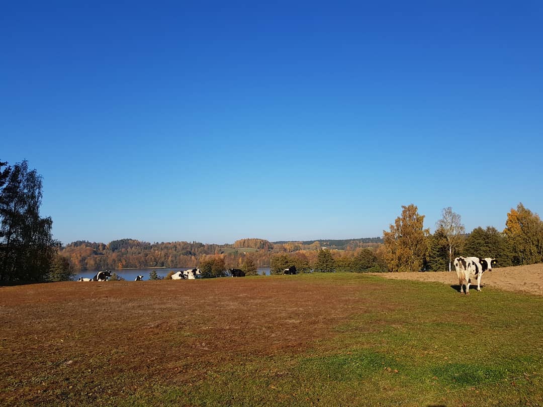 Strefasaun.pl - Sny i Kamienie - Filipów