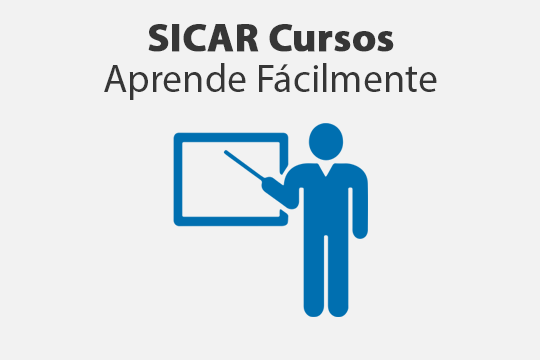 Cursos en Línea