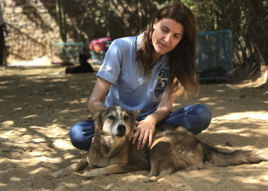 Rachel Wright TOLFA 2019 | Stroud animal charity up for international award