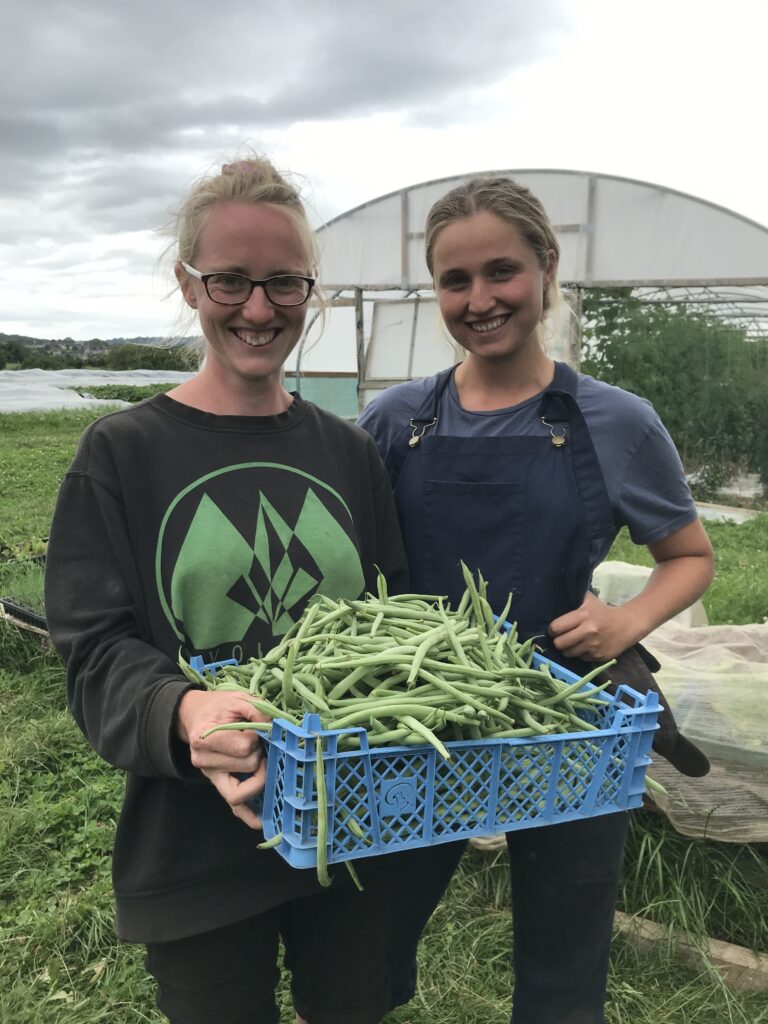 A popular Stroud community farm is offering lovers of rural life the chance to join their Friend of the Farm scheme. image | Friendly support needed to help Oakbrook Community Farm