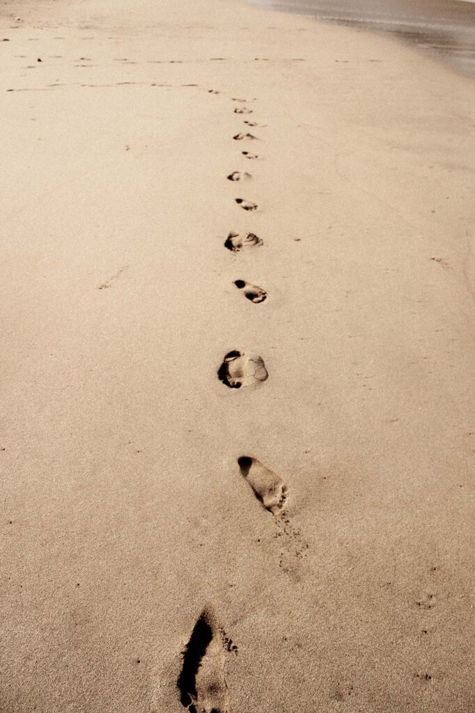 Footprints | What is a 'carbon footprint' and how big is yours?