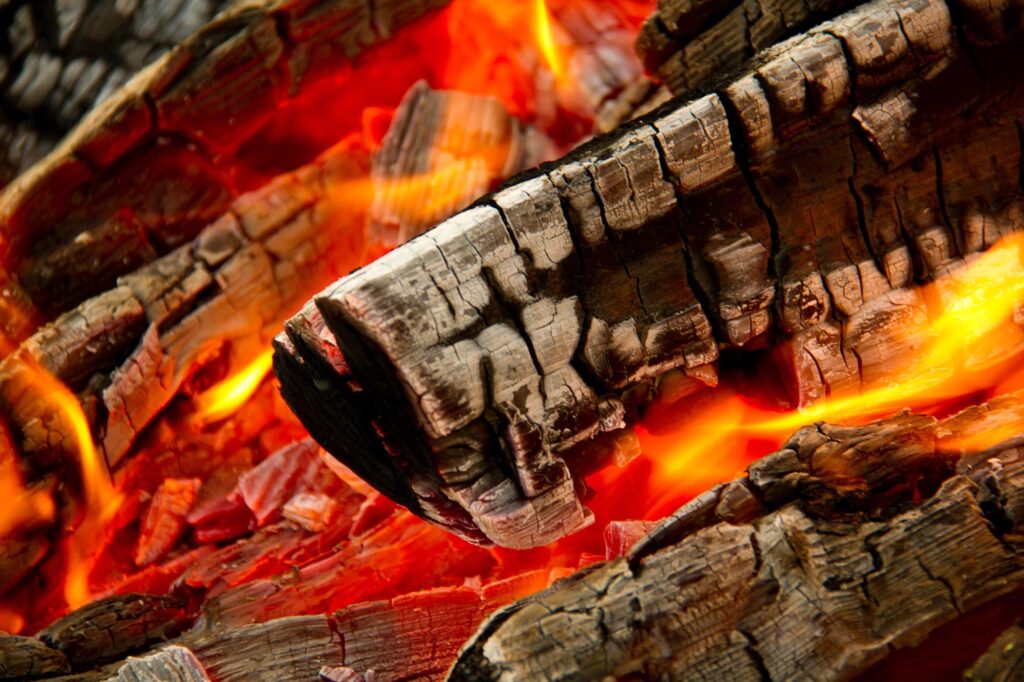 Like many words and expressions, ‘carbon footprint’ is a phrase widely used but not always fully understood, writes Domonic White, founder of Nature’s Racers. fire | What is a 'carbon footprint' and how big is yours?