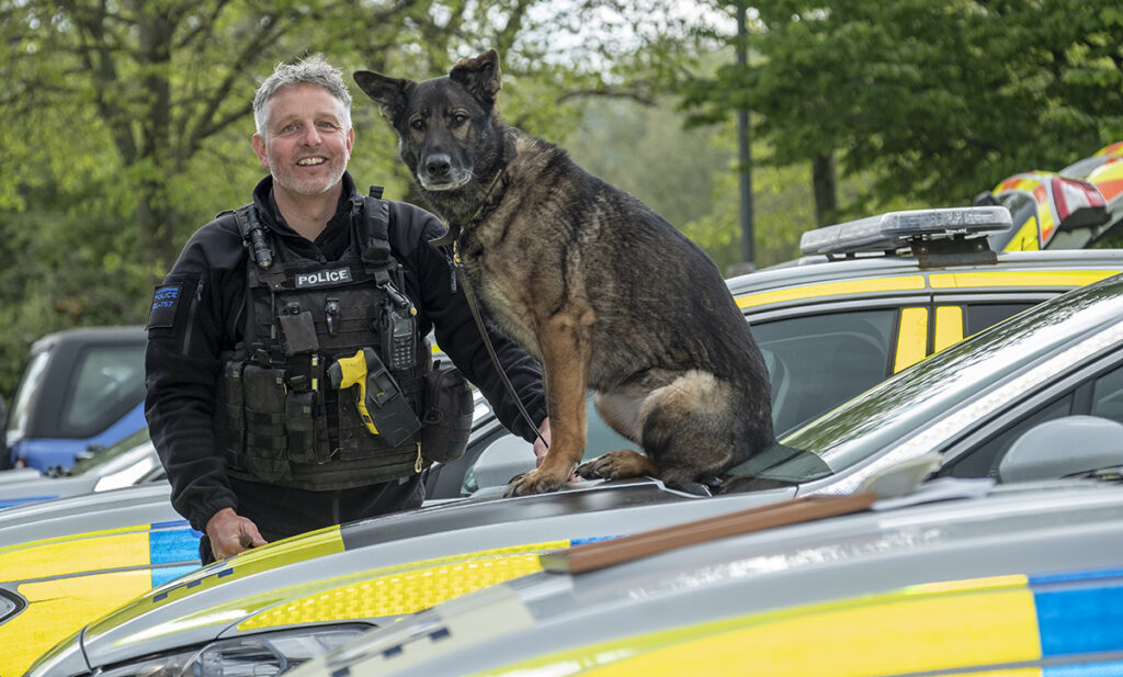 Gloucestershire Constabulary has welcomed three new crime-fighting canines to the Dog Unit and said goodbye to three retiring canines. Gloucestershire Constabulary. Police dogs old and new. Three new police dogs say good bye to three retiring dogs. Pictured, PC Simon Ford with retiring police dog Ella.