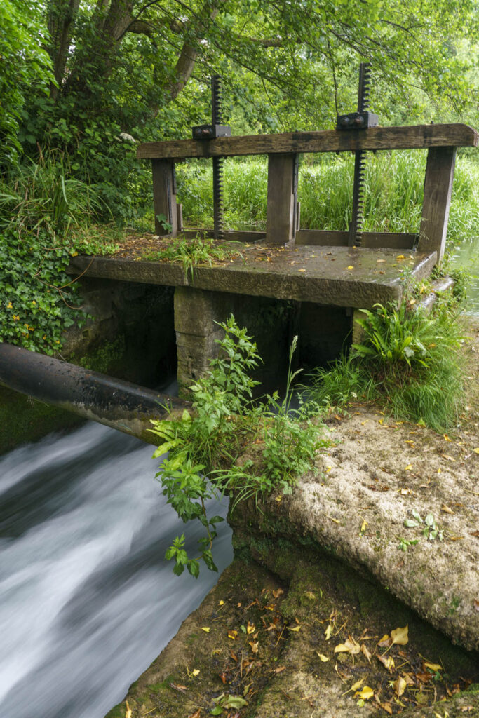 Work is set to start on a historic Stroud millpond to encourage fish to flourish. DSC01696 | Fish to flourish as work begins on historic millpond