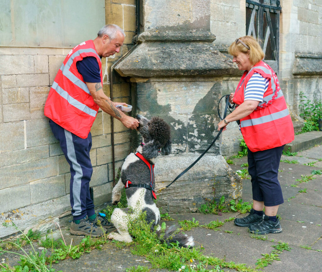 Maria Daley, from Standish, runs For Paws Dog Training and group trailing sessions are held in both urban and rural locations: “A human will set a trail, just by walking a route. They'll have a reward for the dog that is searching for them, either treats or a toy, whichever the individual dog prefers. It's all about tailoring it to that individual dog and making it work for them,” explained Maria. DSC09773 | Sniffing out the benefits of dog trailing