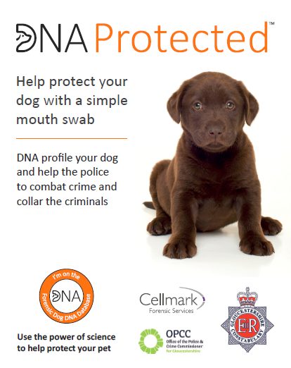 Gloucestershire Constabulary has become the first police force globally to use DNA to tackle dog thefts. Doggy DNA | Global first: DNA will help tackle dog thefts