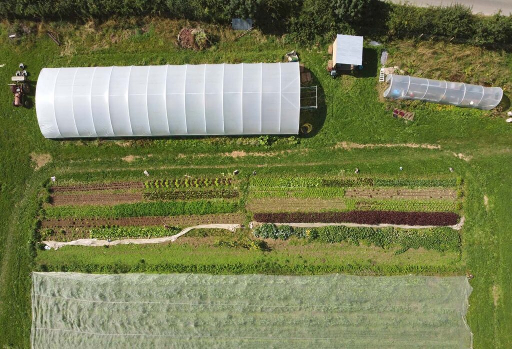 Nells Patch | Moving on: Nell's set for a new challenge