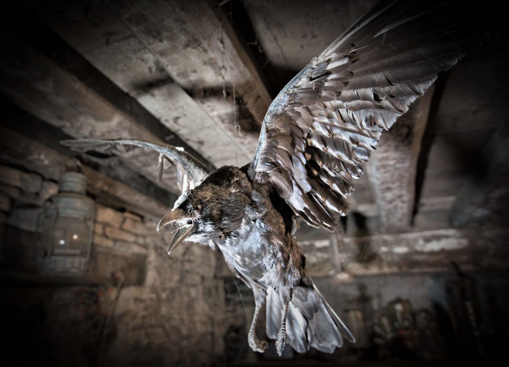 The 12th century Ancient Ram Inn, a Grade II* listed building, has gained a worldwide following and is the subject of regular investigations by teams of ghost hunters from across the globe and regularly features on television and social media. 48923583466 87d463ae95 k | Video: a visit to 'the most haunted building in England'