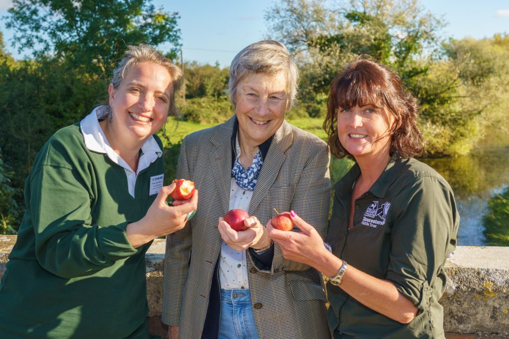 Organised by Cotswold Canals Connected, along with CPRE Gloucestershire and Berkeley Vale, Gloucestershire Wildlife Trust and the Cotswold Canals Trust, the event gave guests the opportunity to sample traditionally made cider and look at the range of apple and pear trees in the orchard, some dating back to the beginning of the nineteenth century. DSC00685 | Raising a glass to Gloucestershire’s canals, apples and orchards