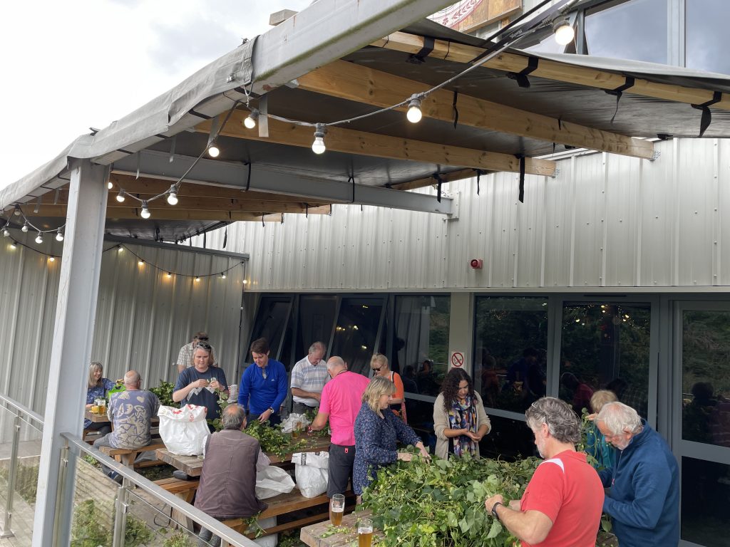 Stroud Brewery is saying cheers after brewing up a seasonal beer brimming full of community spirit. hop picking 21 balcony | Cheers: a pint full of community spirit