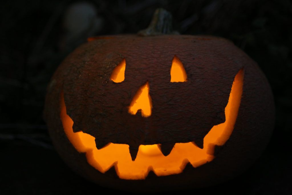 Acclaimed writer Katie Fforde will be the head judge at a Halloween pumpkin carving competitio poster | Katie Fforde to judge pumpkin carving competition