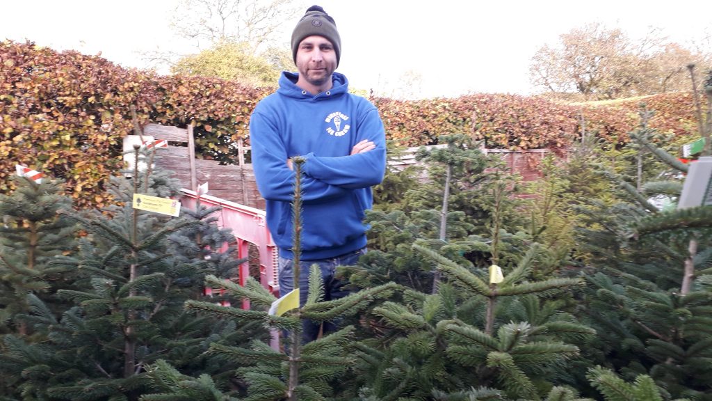 Sustainable Christmas trees are selling like proverbial hot cakes at a world-renowned ice cream factory. 20211101 152646 | Rental Claus: pick up a sustainable Christmas tree