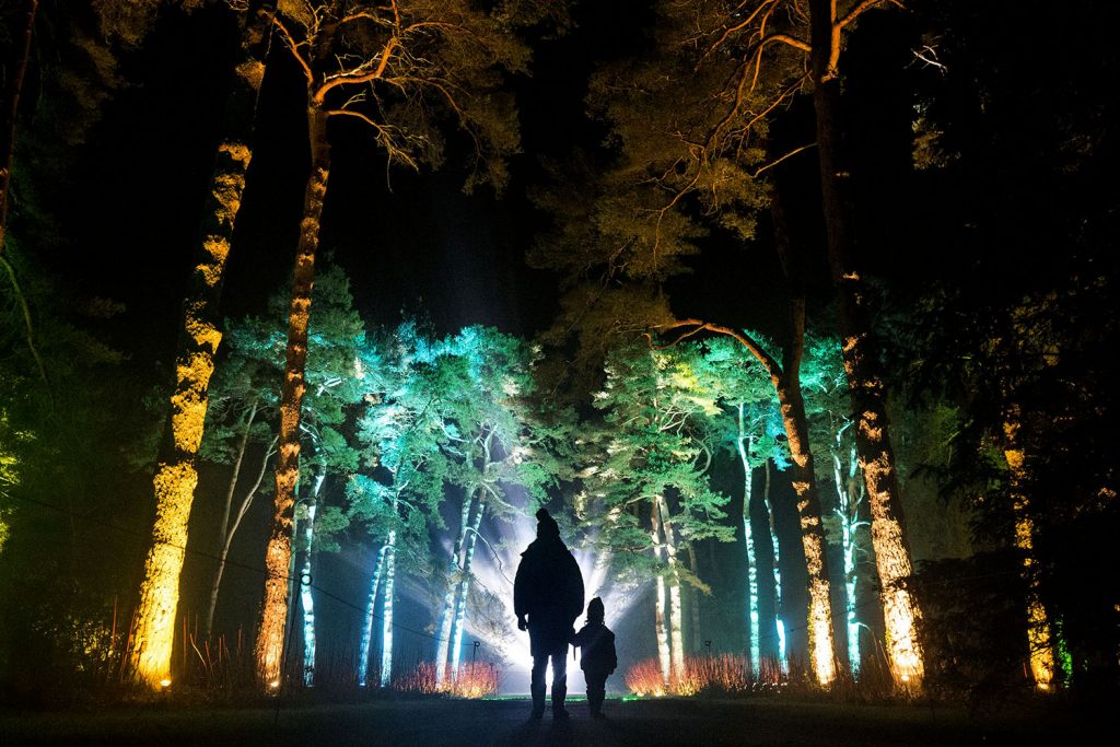 Forest Live is a major outdoor live music series presented by Forestry England. National Arboretum Westonbirt light trail | Forest Live: raft of top acts coming to Westonbirt Arboretum