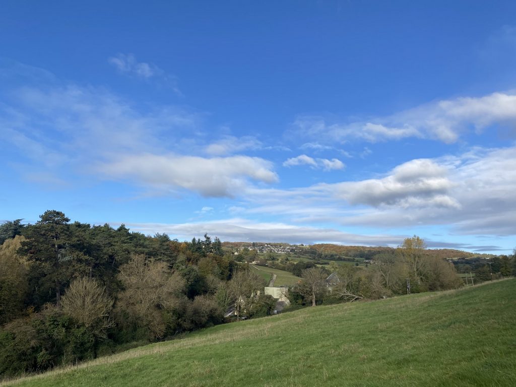 Stroud District Council has joined forces with Stroud Valleys Project to create a new woodland with more than 1,000 trees this winter. image00003 | More than 1,000 trees to be planted in Stroud