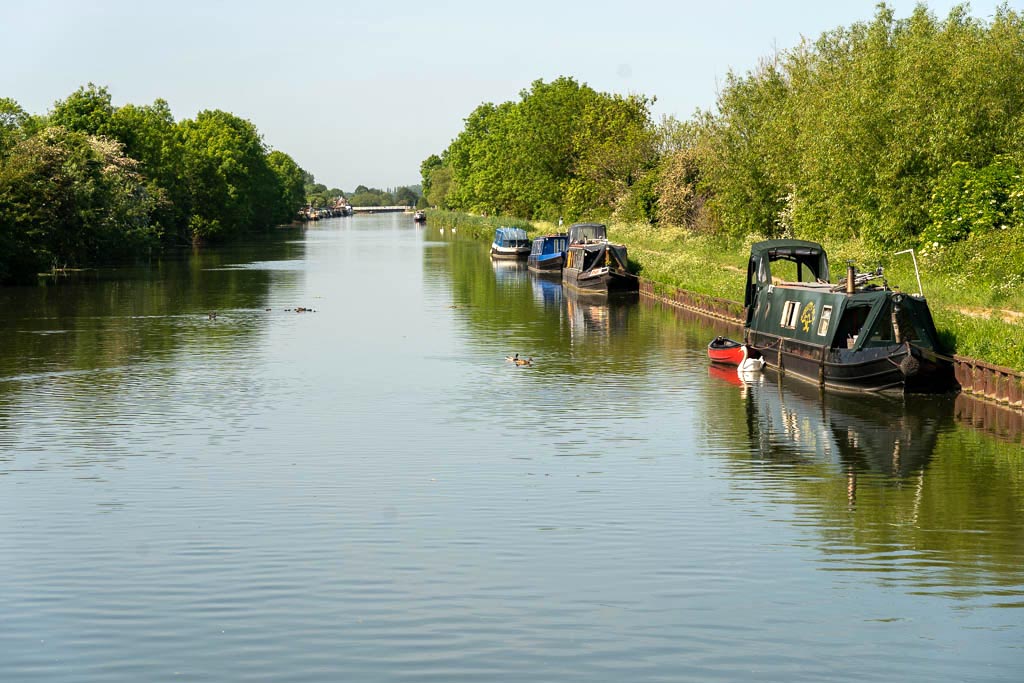 A Coaley woman was gored by a deer as she helped save it from drowning. DSC0516 | Woman gored by deer after saving it from drowning