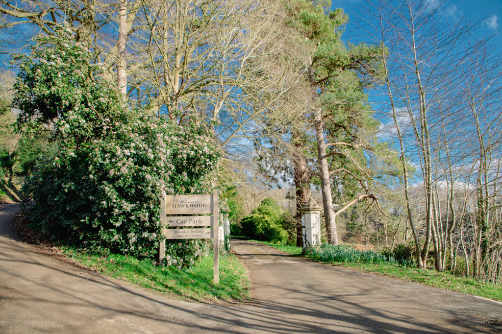 For the last 75 years, Hawkwood has supported people to fulfil their full potential by providing various educational and creative opportunities. Hawkwood CFT Festival3 | Hawkwood celebrate 75th anniversary
