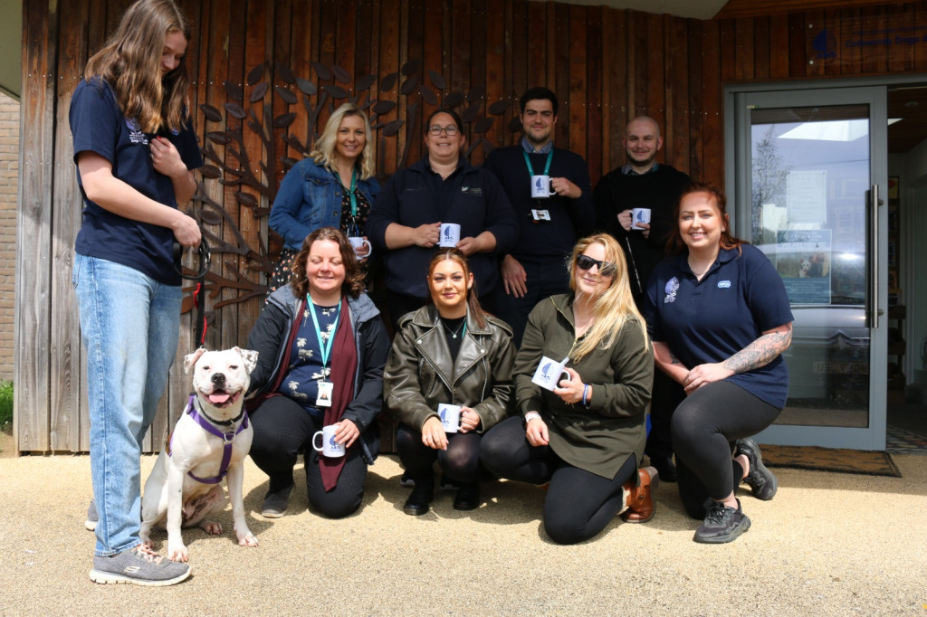 SDC charities group visit CDCH | Cotswolds Dogs & Cats Home is named as Stroud District Council’s new charity of the year