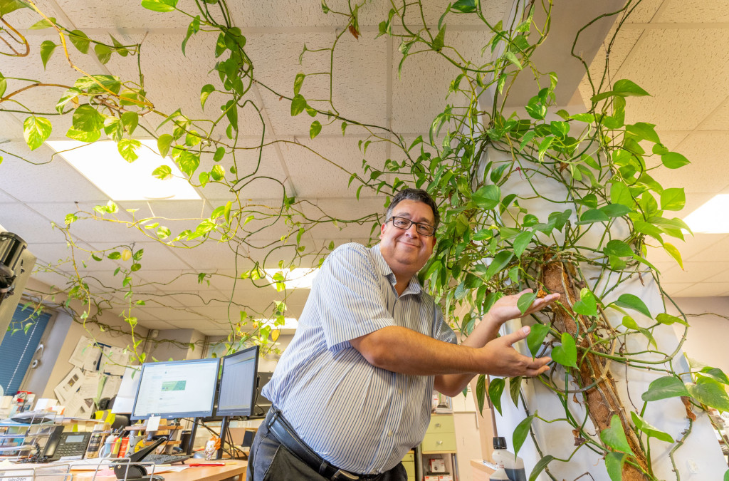 When the managing director of a Gloucestershire business brought a cutting from a pot plant into the office 15 years ago, little did he know that it would dominate the building and become a talking point. DSC08066 | Huge 'triffid' plant fills Stonehouse office