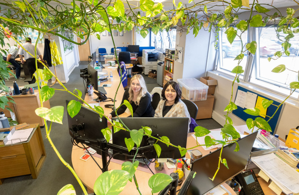 When the managing director of a Gloucestershire business brought a cutting from a pot plant into the office 15 years ago, little did he know that it would dominate the building and become a talking point. DSC08136 | Huge 'triffid' plant fills Stonehouse office