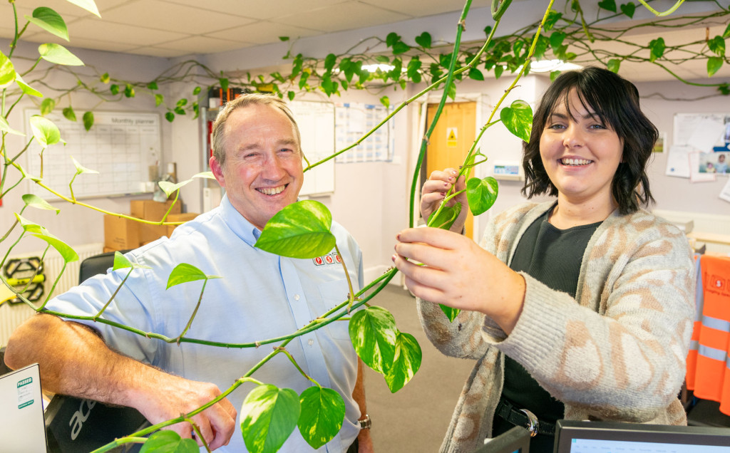When the managing director of a Gloucestershire business brought a cutting from a pot plant into the office 15 years ago, little did he know that it would dominate the building and become a talking point. DSC9717 | Huge 'triffid' plant fills Stonehouse office