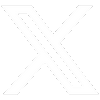 Twitter Icon