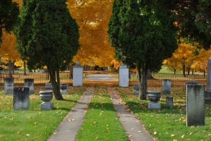 Accedere al cimitero con propri veicoli