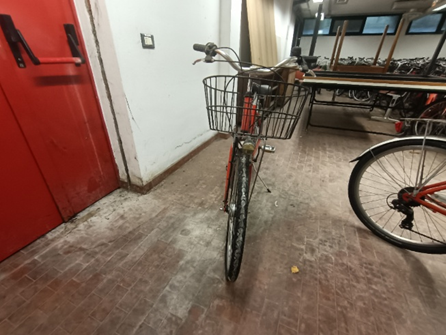 bicicletta