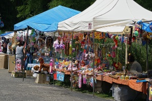 Presentare la dichiarazione TOSAP