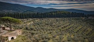 paesaggio