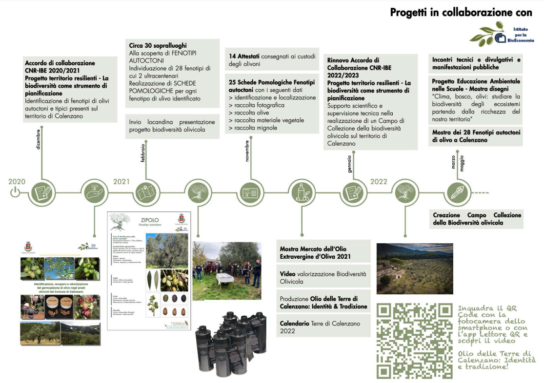 timeline biodiversità