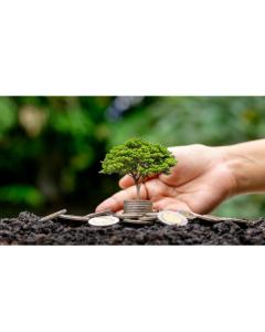 Chiedere la concessione di patrocinio, beneficio economico e contributo finanziario in deroga