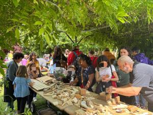 Chiedere la concessione di contributi per progetto “Frazioni per Tutti – Terza Edizione”