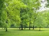 ptcp_a10_thumbnail