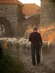 Chiedere il riconoscimento della qualifica di imprenditore agricolo professionale IAP