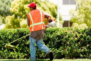 Svolgere lavori di pubblica utilità