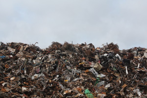 Chiedere la fornitura di contenitore biocomposter