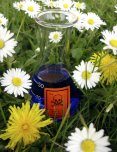 Esposto in materia ambientale (abbandono rifiuti, scarichi idrici, inquinamento dell'aria, molestie olfattive, inquinamento acustico, presenza di amianto)