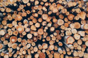 Chiedere l'autorizzazione per la concessione di legname d'opera, legna da ardere o legna secca