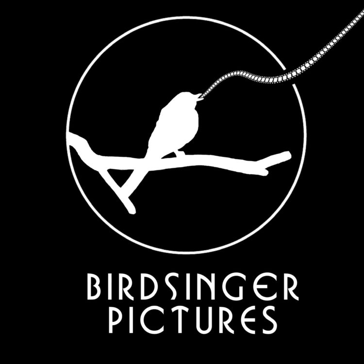 Birdsinger Pictures