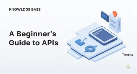 A Beginner's Guide to APIs