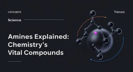 Amines Explained: Chemistry's Vital Compounds