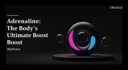 Adrenaline: The Body's Ultimate Boost