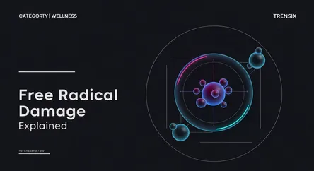 Free Radical Damage Explained